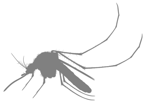 Mosquito Silhouette, can use for Art Illustration Pictogram, Website, and Graphic Design Element. Format PNG