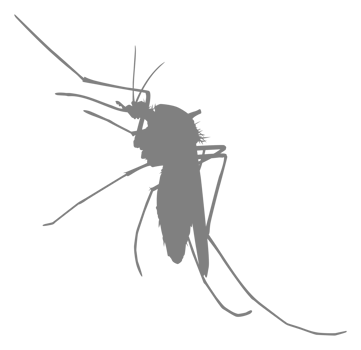 Mosquito Silhouette, can use for Art Illustration Pictogram, Website, and Graphic Design Element. Format PNG