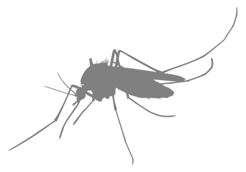 Mosquito Silhouette, can use for Art Illustration Pictogram, Website, and Graphic Design Element. Format PNG