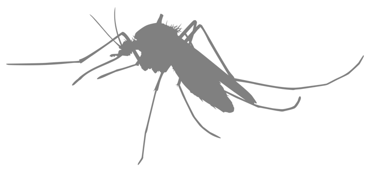 Mosquito Silhouette, can use for Art Illustration Pictogram, Website, and Graphic Design Element. Format PNG