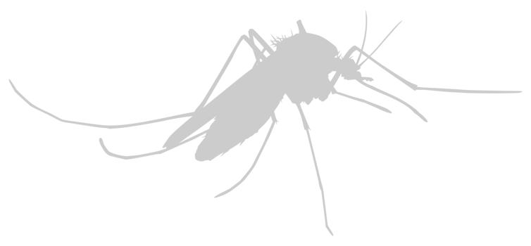 Mosquito Silhouette, can use for Art Illustration Pictogram, Website, and Graphic Design Element. Format PNG