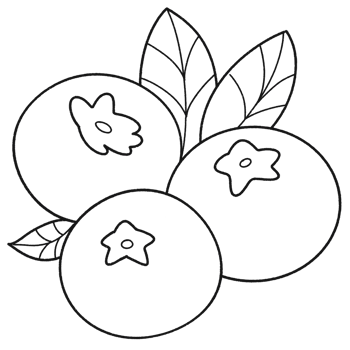 Cartoon clip art fruit blueberry line PNG