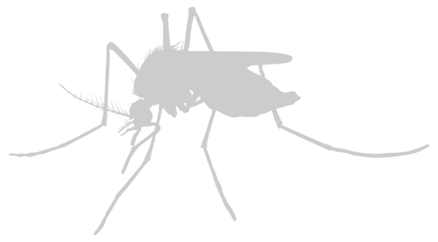 Mosquito Silhouette, can use for Art Illustration Pictogram, Website, and Graphic Design Element. Format PNG
