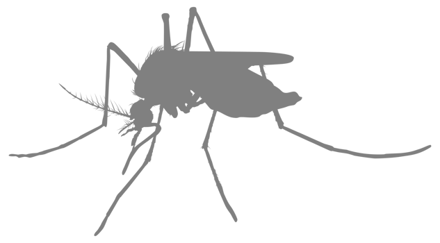 Mosquito Silhouette, can use for Art Illustration Pictogram, Website, and Graphic Design Element. Format PNG