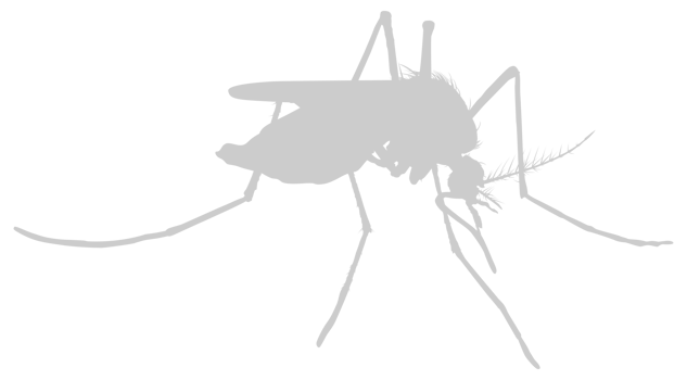 Mosquito Silhouette, can use for Art Illustration Pictogram, Website, and Graphic Design Element. Format PNG