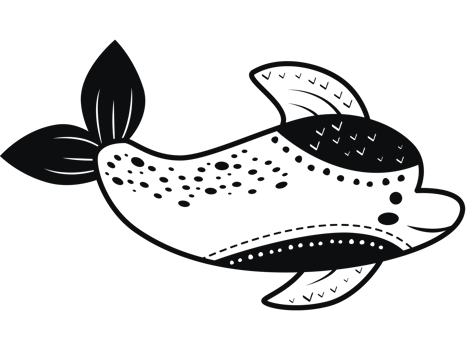 dolphin sealife illustration png