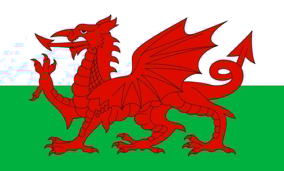 Flag of Wales vector