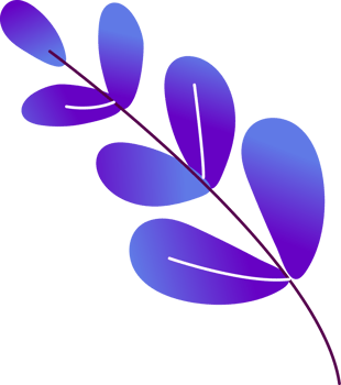 plant leaf illustration png