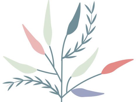 plant leaf illustration png