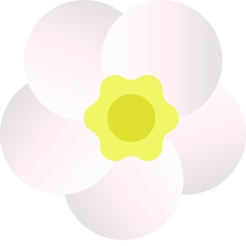 spring flower illustration png