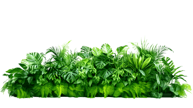 AI generated Green leaves of tropical plants bush floral arrangement indoors garden nature backdrop, transparency background png