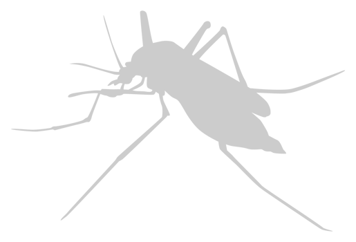 Mosquito Silhouette, can use for Art Illustration Pictogram, Website, and Graphic Design Element. Format PNG