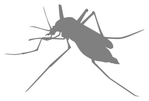 Mosquito Silhouette, can use for Art Illustration Pictogram, Website, and Graphic Design Element. Format PNG