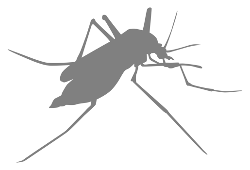Mosquito Silhouette, can use for Art Illustration Pictogram, Website, and Graphic Design Element. Format PNG