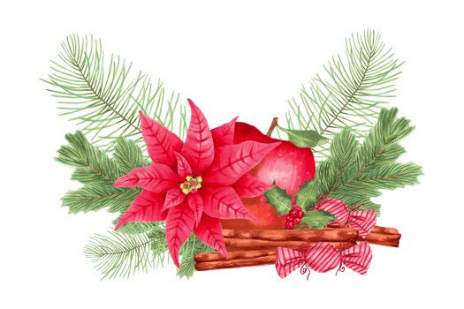 Christmas composition of red apple with poinsettia flower, pine and fir branches, holly berries with cinnamon and caramel candies. Decor for the New Year. Watercolor art. Hand drawn isolated. png