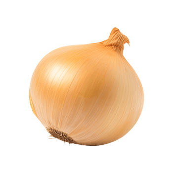 AI generated Fresh onion isolated on transparent background png