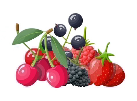 Berry icon set. Cranberry, black currant, backberry, blueberry, red currant, raspberry, strawberry and cherry.Berries with green leaves. Organic healthy food. Vector illustration flat style