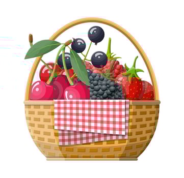 Wicker picnic basket with berries. Opened food hamper with cranberry, black currant, blackberry, blueberry, red currant, raspberry, strawberry and cherry. Vector illustration in flat style
