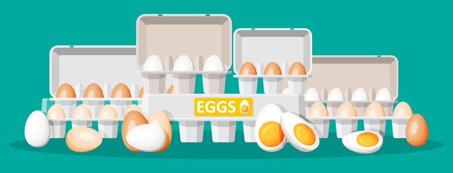 Set eggs in cardboard package isolated on green. Cartoon white and brown egg icon in tray. Dairy food and grocery. Easter mockup concept. Flat vector illustration.