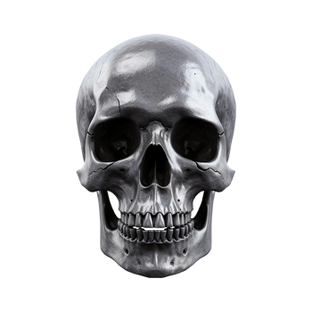 AI generated Realistic skull isolated on transparent background png