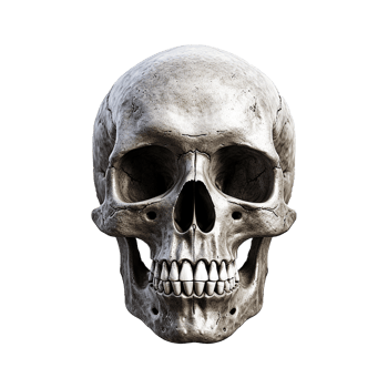 AI generated Realistic skull isolated on transparent background png