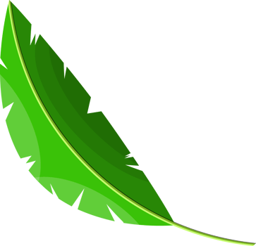 Tropical green leaves, coconut palm or banana tree png