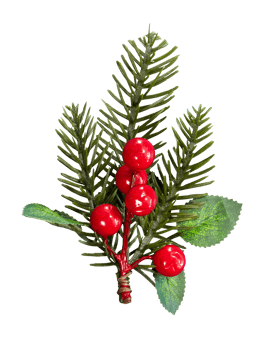 Christmas pine leaf with red berries png