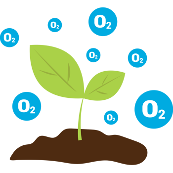 oxygen cartoon illustration png