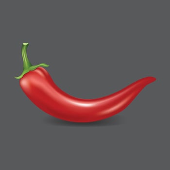 Vector realistic natural hot red chili fruit with shadow vector illustration. Design for groceries, culinary products, seasoning and spice packages, recipe website decoration, cooking books.