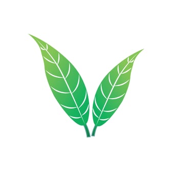 nature green leaves vector