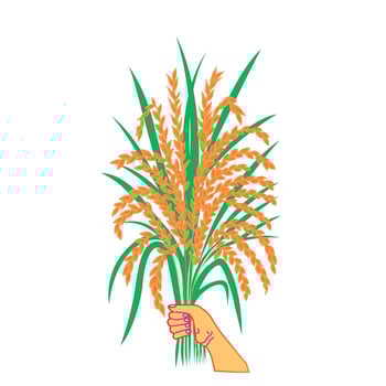 grain of rice clip art green leaves vector