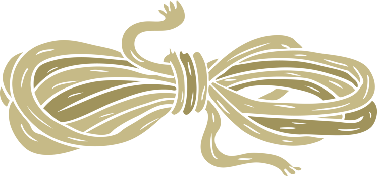 flat color style cartoon rope png