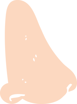 flat color illustration of a cartoon human nose png