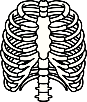 tattoo in traditional style of a rib cage png