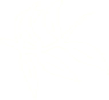 Leaves Chalk Drawing png