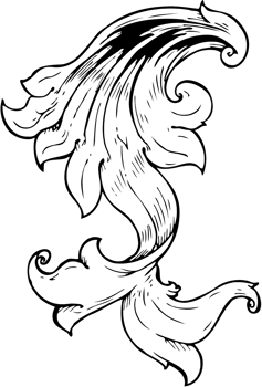 traditional hand drawn floral swirl png