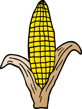 cartoon doodle corn on cob png