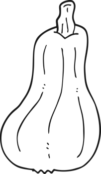 cartoon squash drawing png