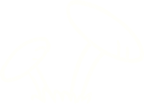 Mushrooms Chalk Drawing png