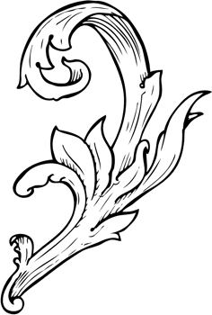 traditional hand drawn floral swirl png