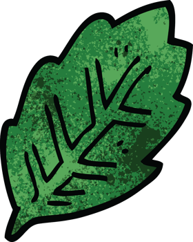 cartoon doodle tree leaf png