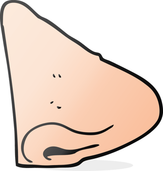 freehand drawn cartoon nose png