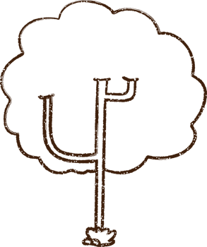 Tree Charcoal Drawing png