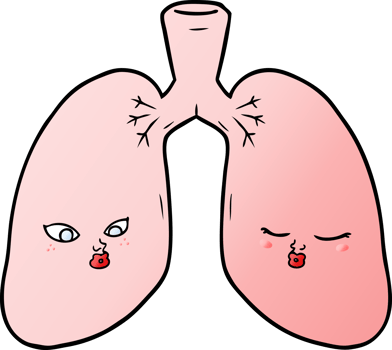 cartoon lungs drawing png