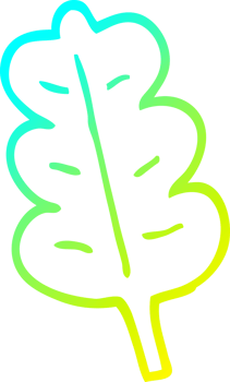 cold gradient line drawing of a cartoon oak leaf png