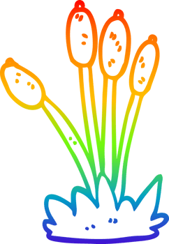 rainbow gradient line drawing of a cartoon bed of reeds png