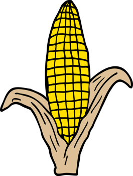 cartoon doodle corn on cob png