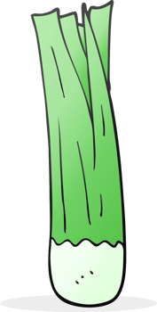 hand drawn cartoon leek png