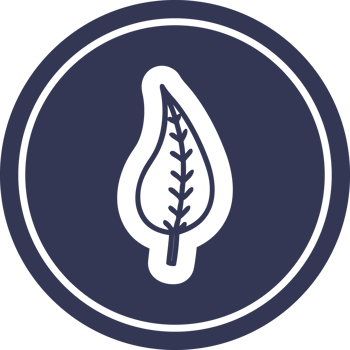 natural leaf circular icon png