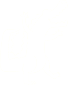 Crazy Crocodile Chalk Drawing png